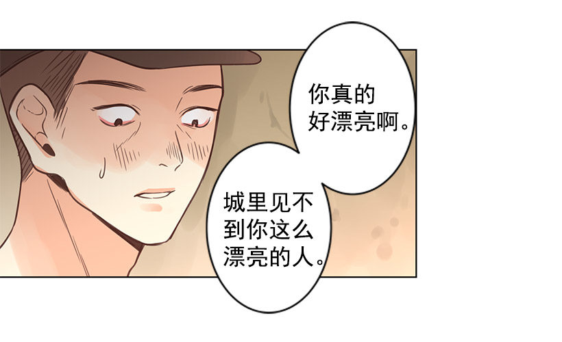 诱饵8