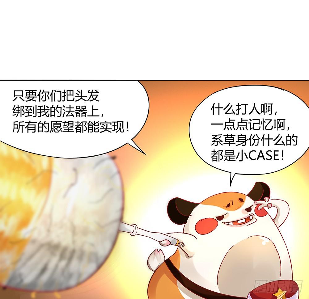 闪闪放光彩12