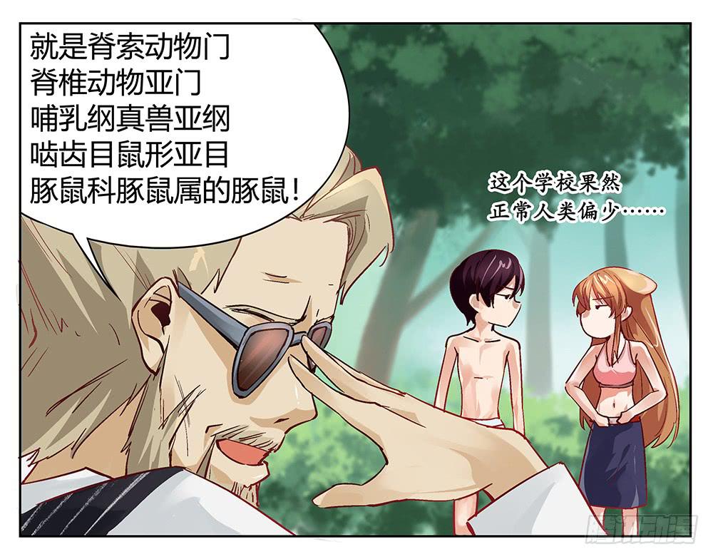 姗姗来迟的“救世主”？34