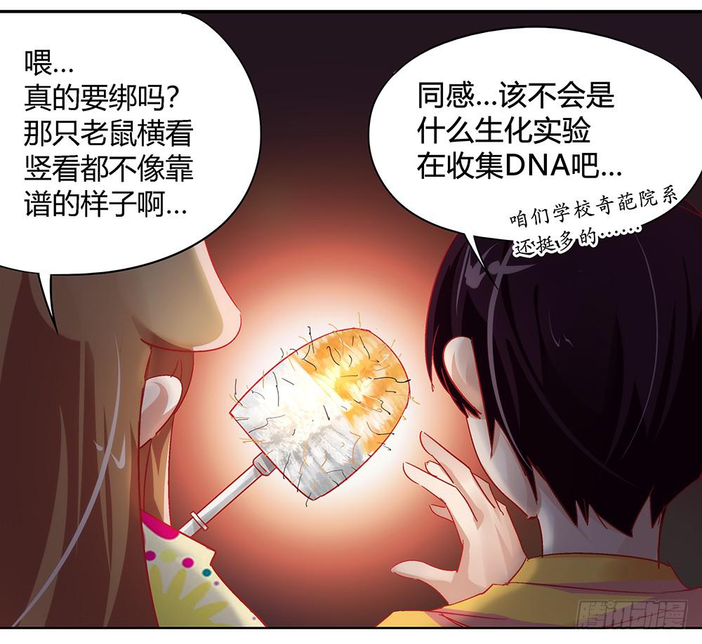 闪闪放光彩34