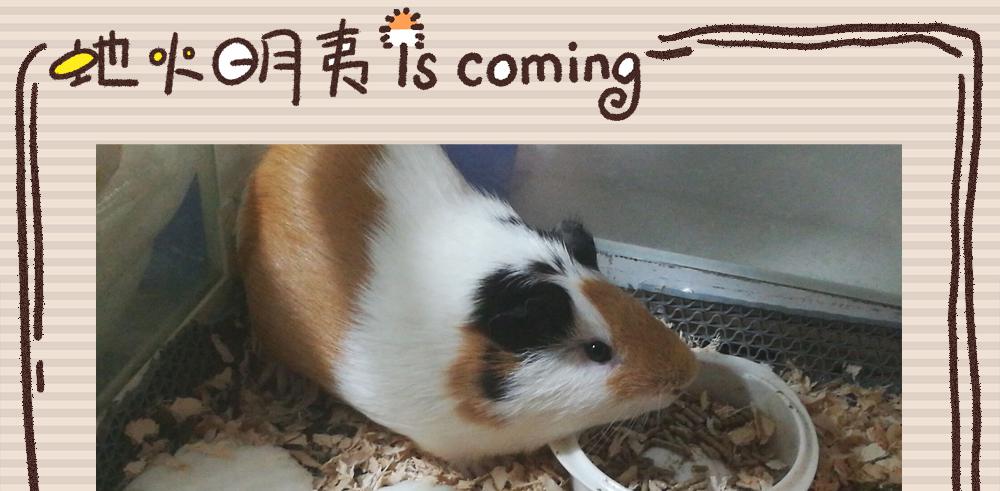 一友顶十黑130