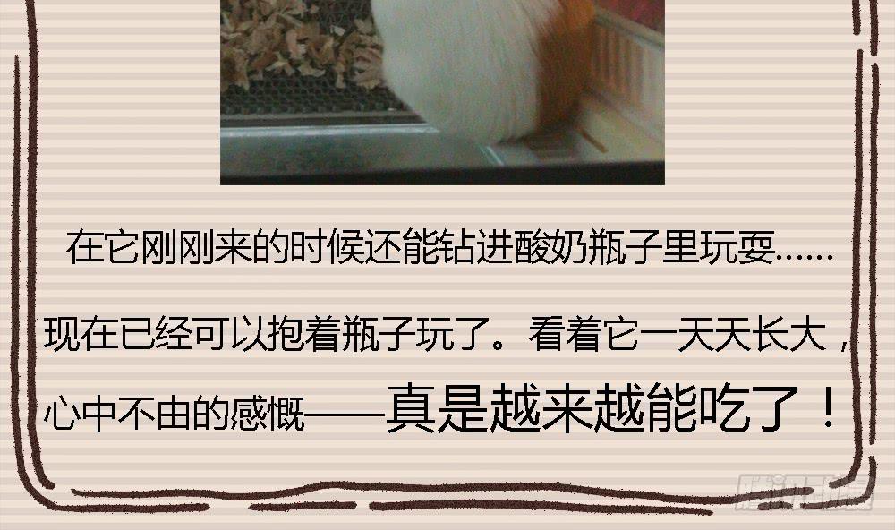 真的是小惊喜!72
