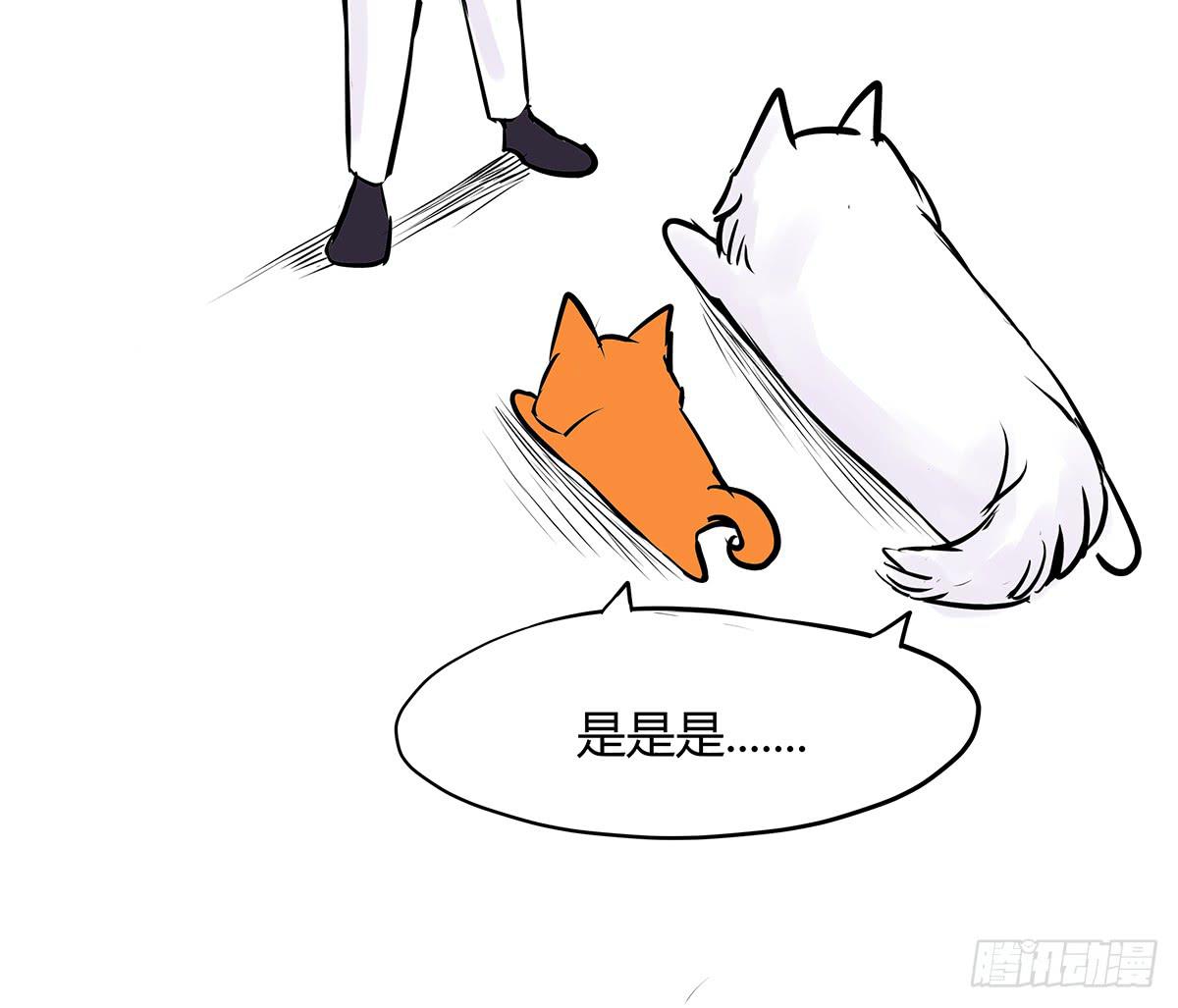 善恶反转？婚车后的生死时速81