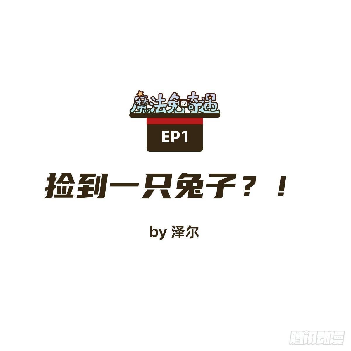 捡到一只兔子？！0