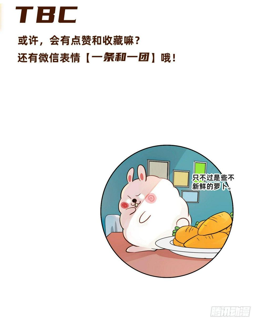 契约6