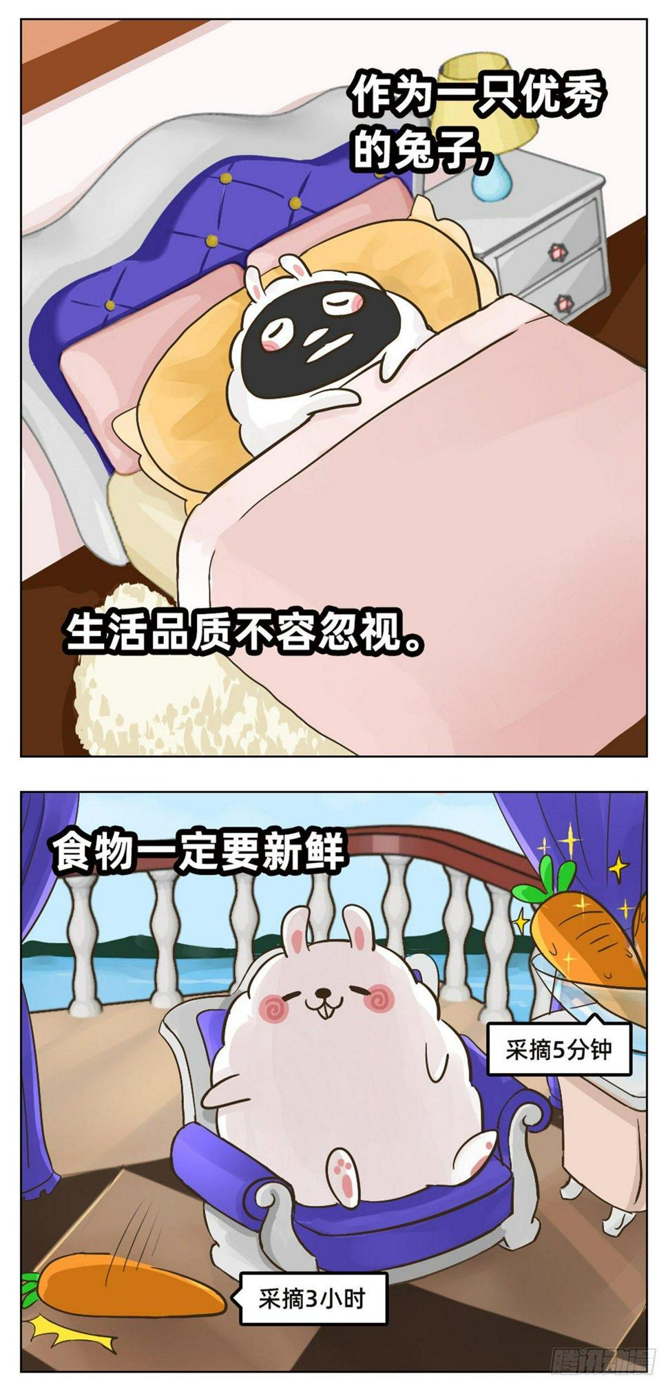 一团的日常2