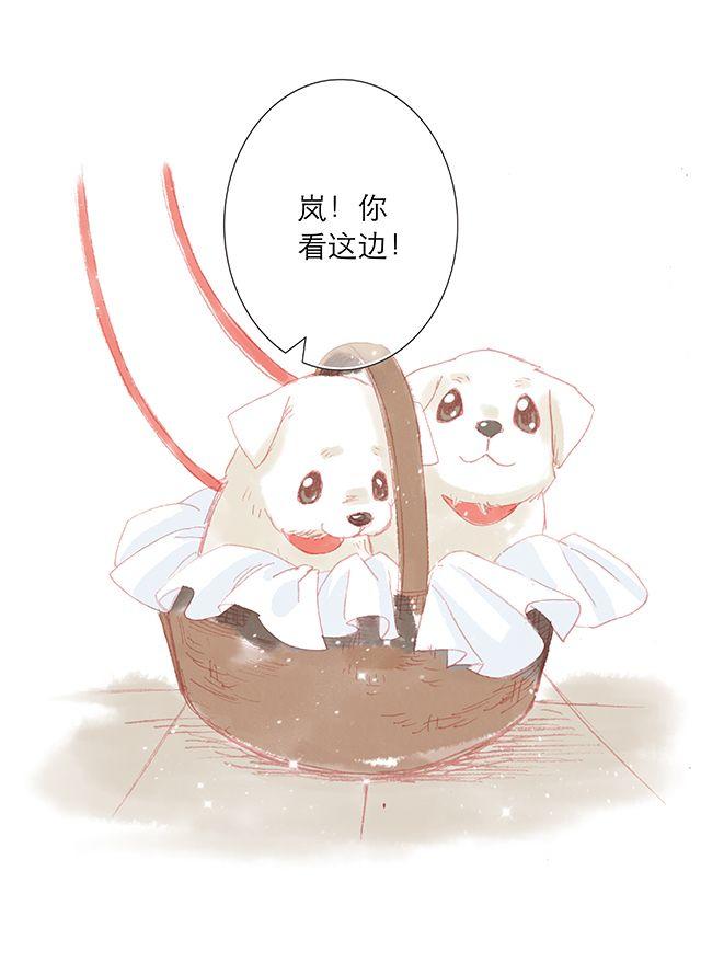 可爱的它／她／他14