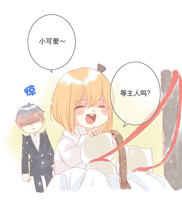 可爱的它／她／他15