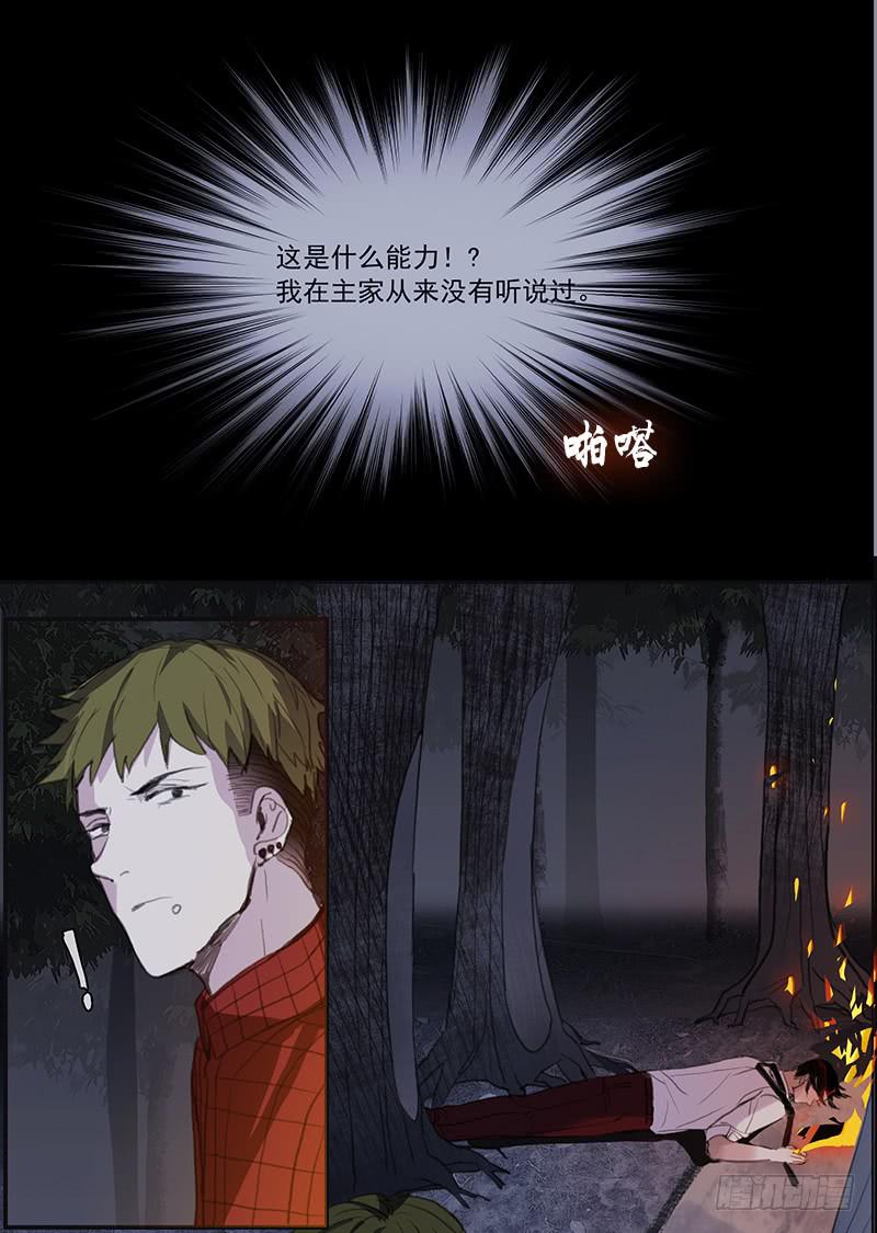 33.森林荧光7