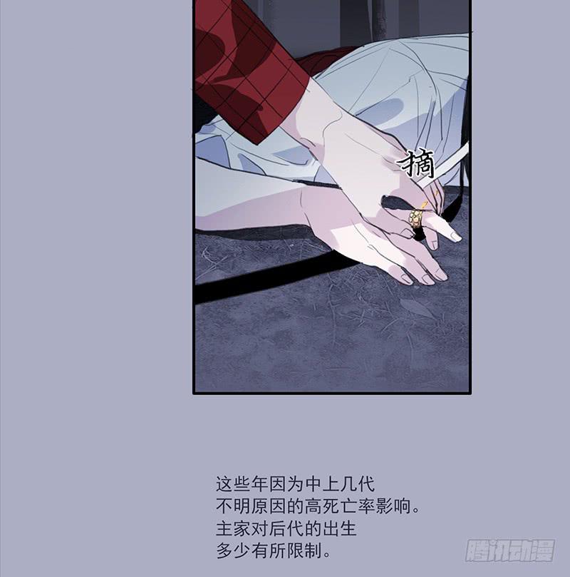 33.森林荧光13