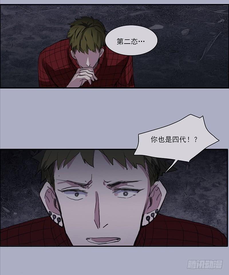 33.森林荧光34
