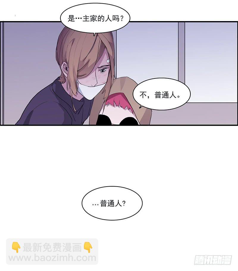 28.黑兔子和白兔子38