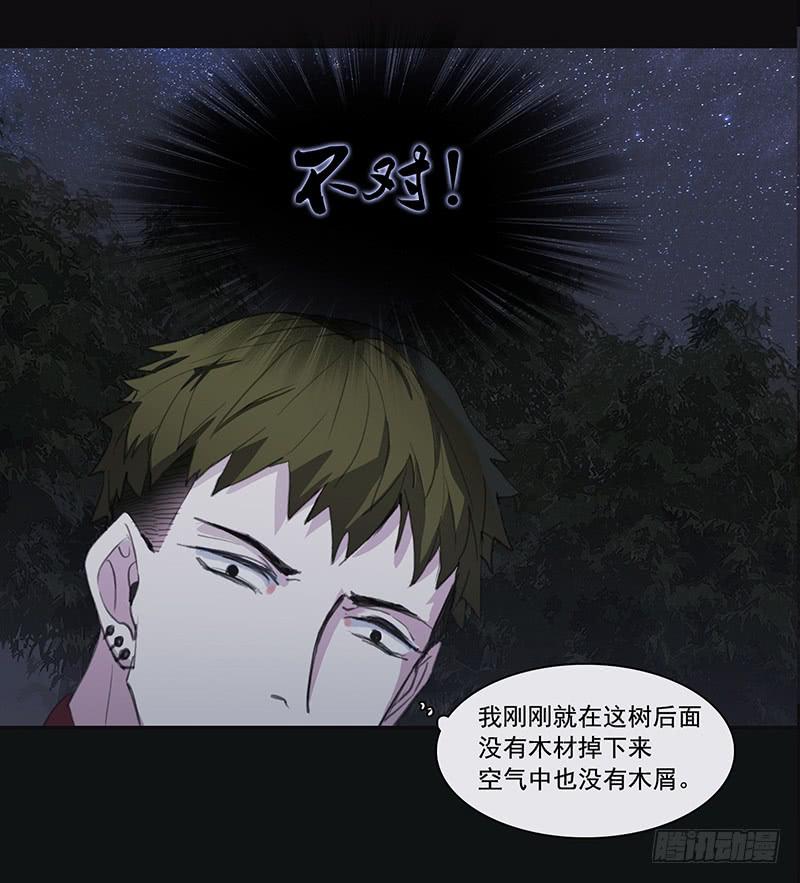 33.森林荧光5