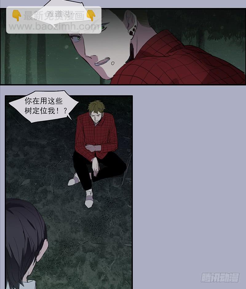 33.森林荧光32