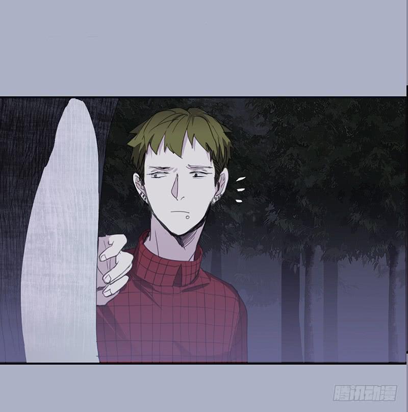 33.森林荧光3