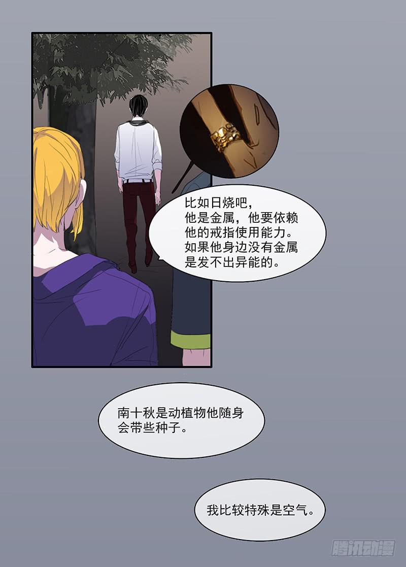 29.夜间小树林19