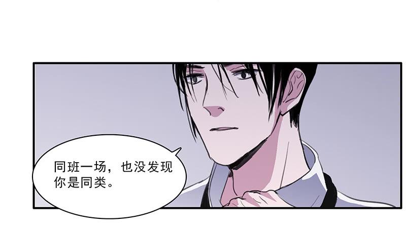 26.残缺的印迹11