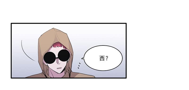28.黑兔子和白兔子32