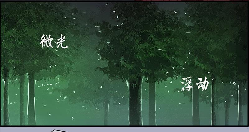 33.森林荧光31