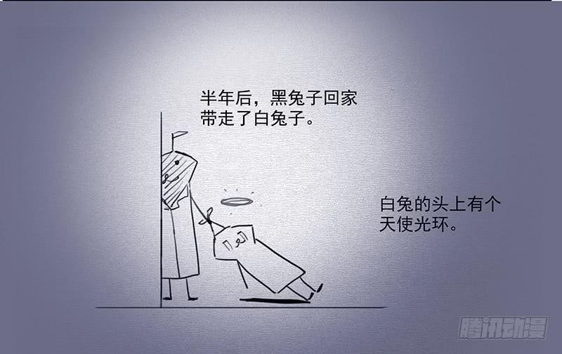 28.黑兔子和白兔子22