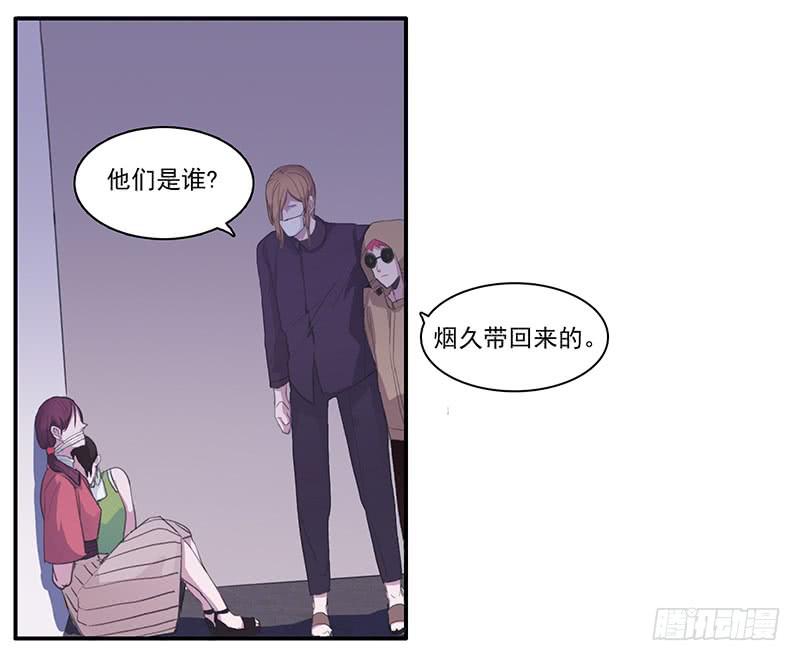 28.黑兔子和白兔子37
