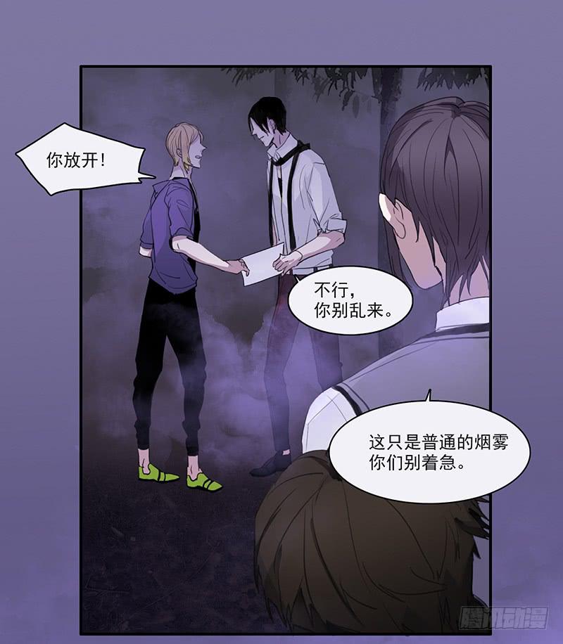 30.雾13