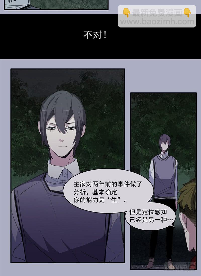 33.森林荧光33