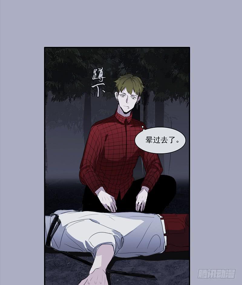 33.森林荧光10