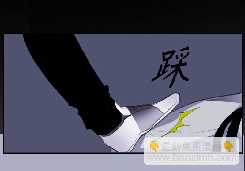 33.森林荧光9