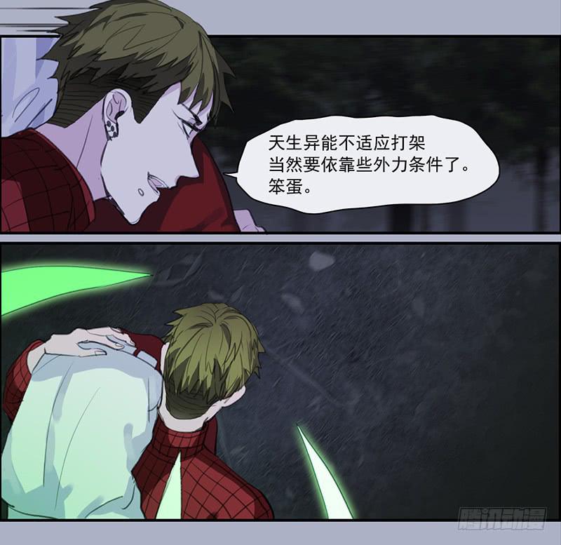 33.森林荧光24