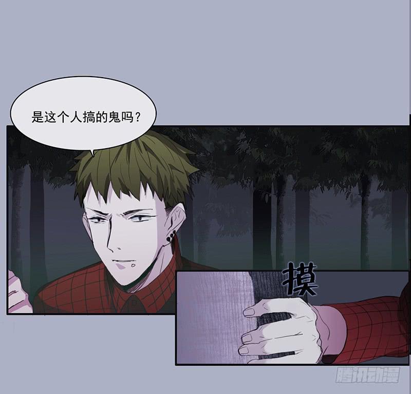 33.森林荧光2