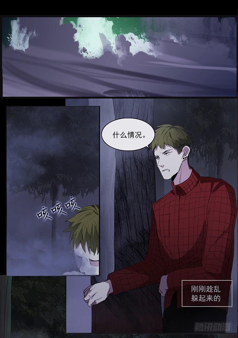 33.森林荧光0