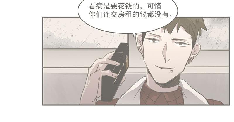 28.黑兔子和白兔子29