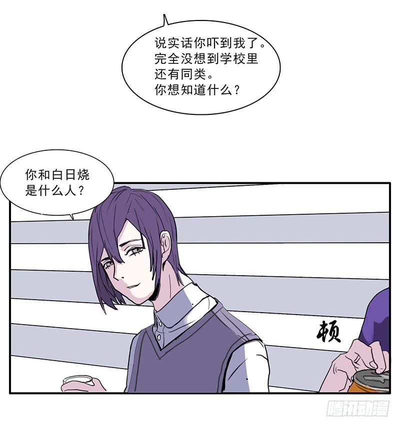 17.同类27