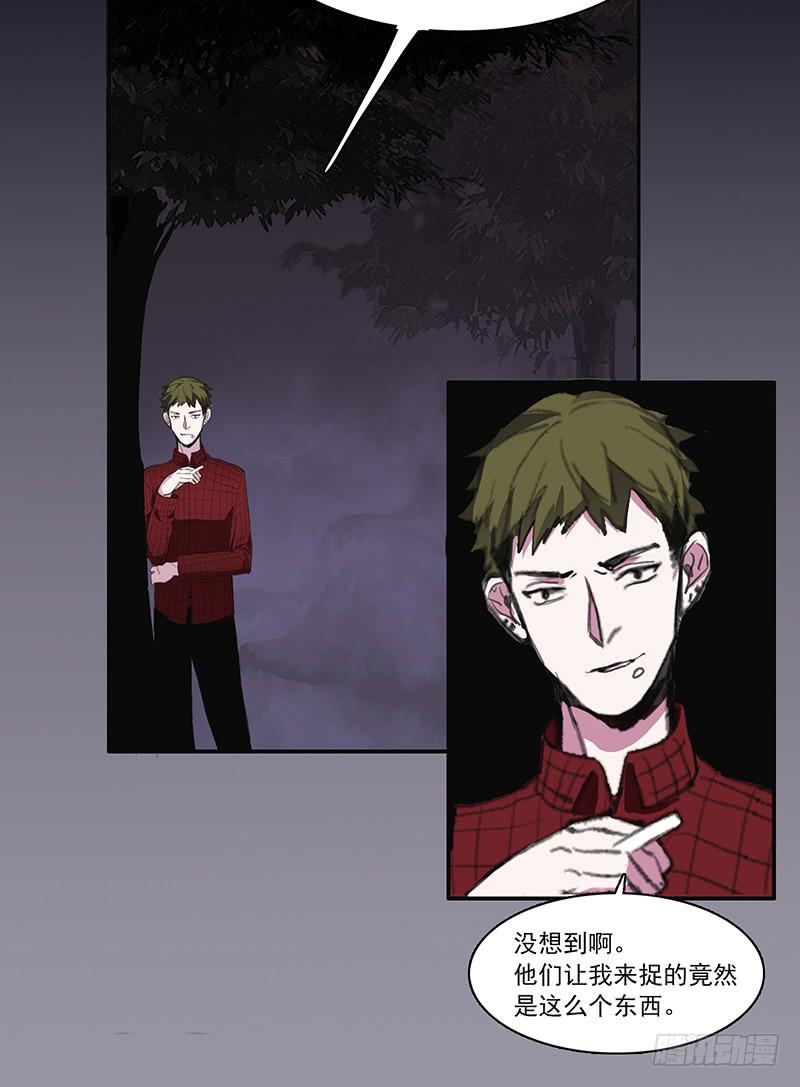 31.第二态21