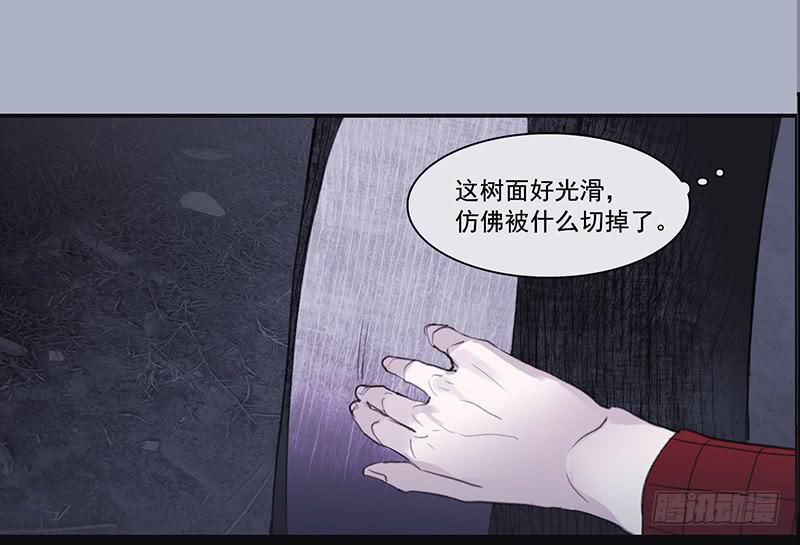 33.森林荧光4