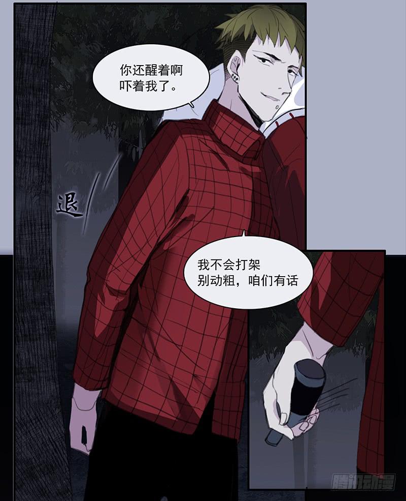 33.森林荧光20