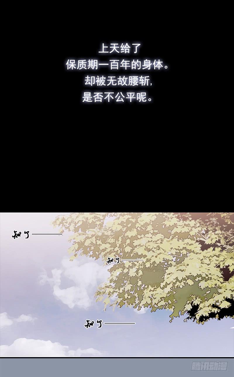 预告4