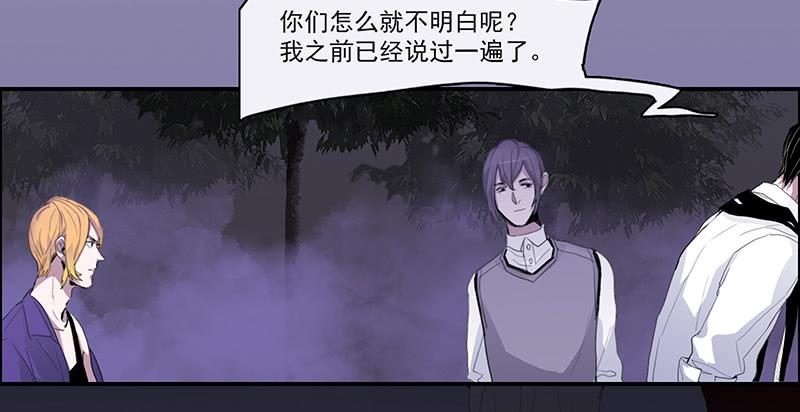 30.雾17