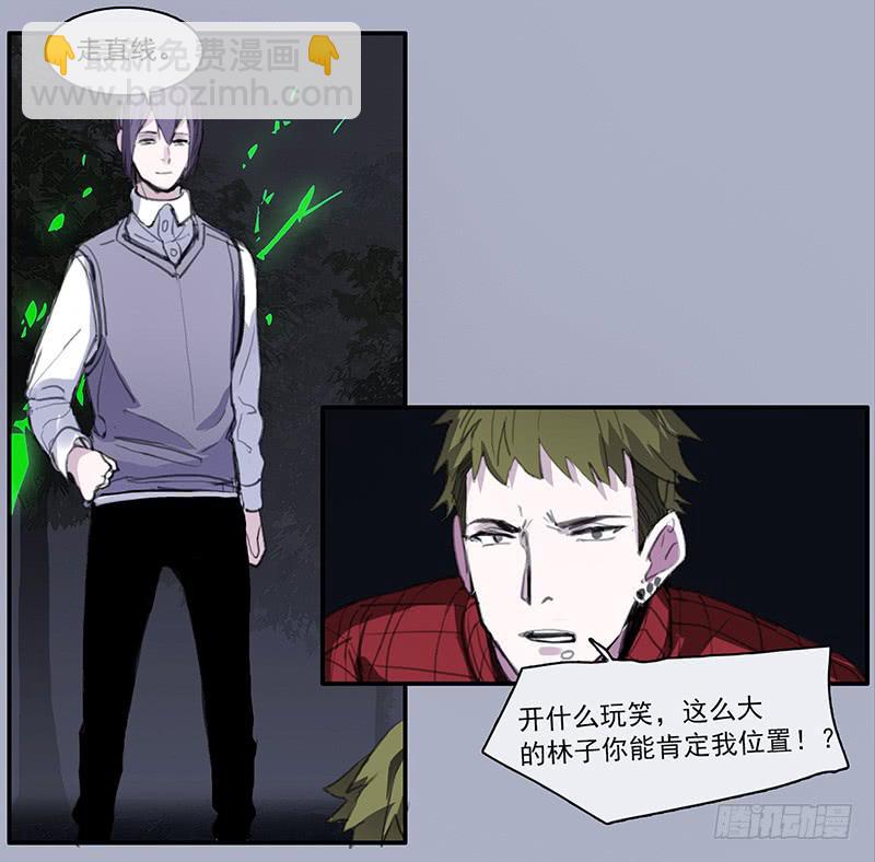 33.森林荧光28