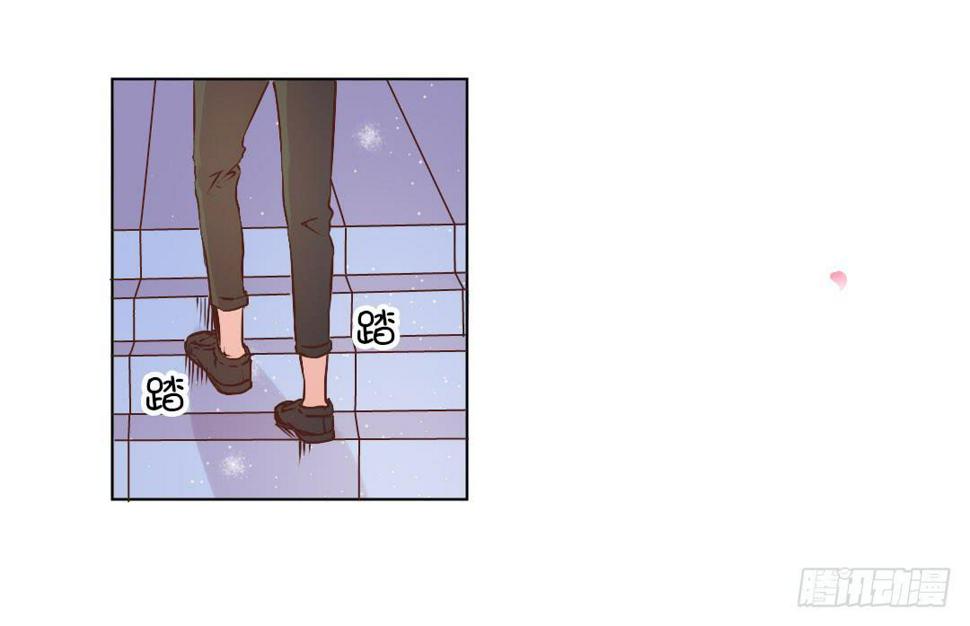 新任董事柳冬君先生29