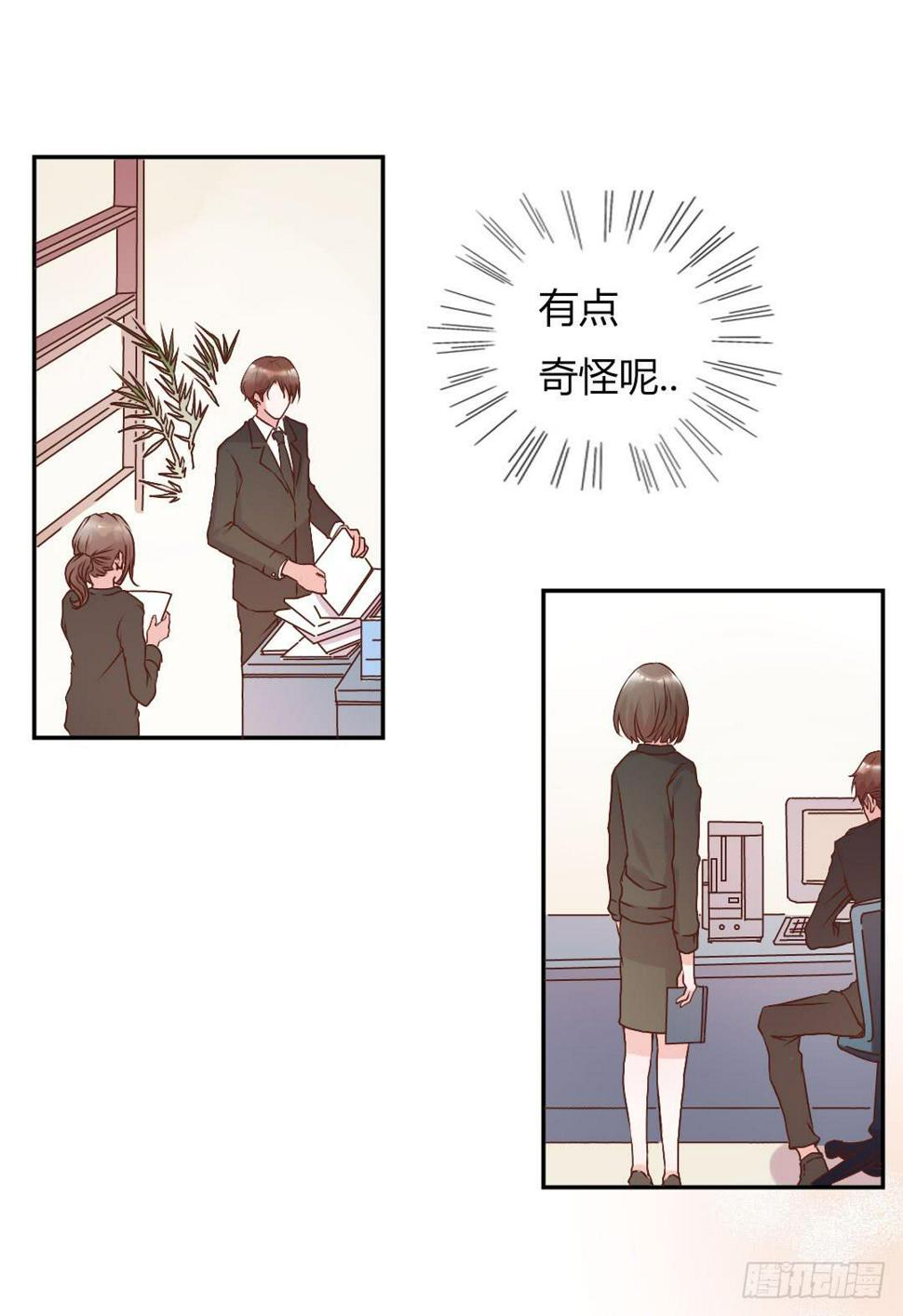 新任董事柳冬君先生19