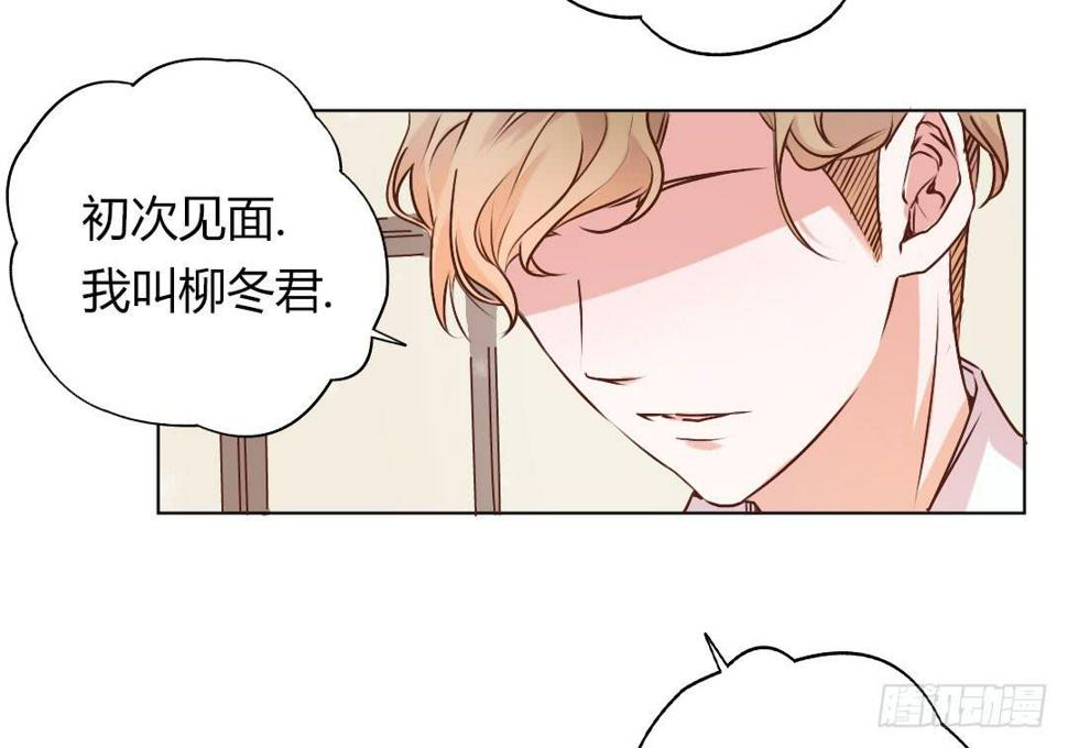新任董事柳冬君先生33