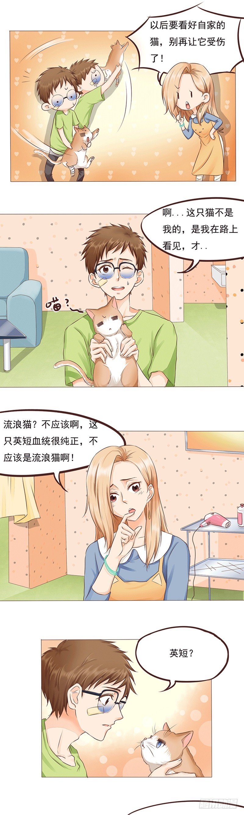 第16话 女人和猫都败家3