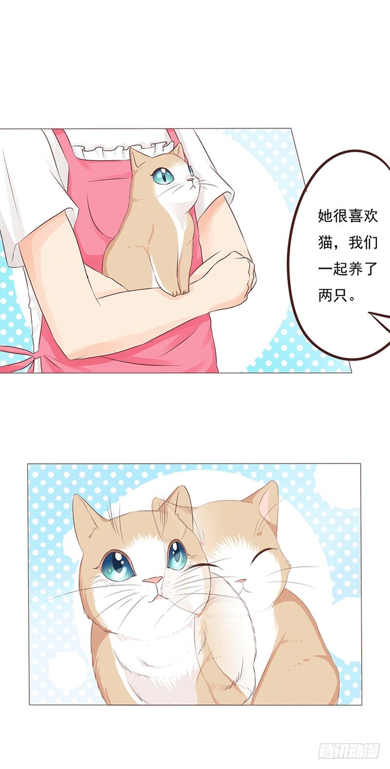 第19话 陈年旧爱3