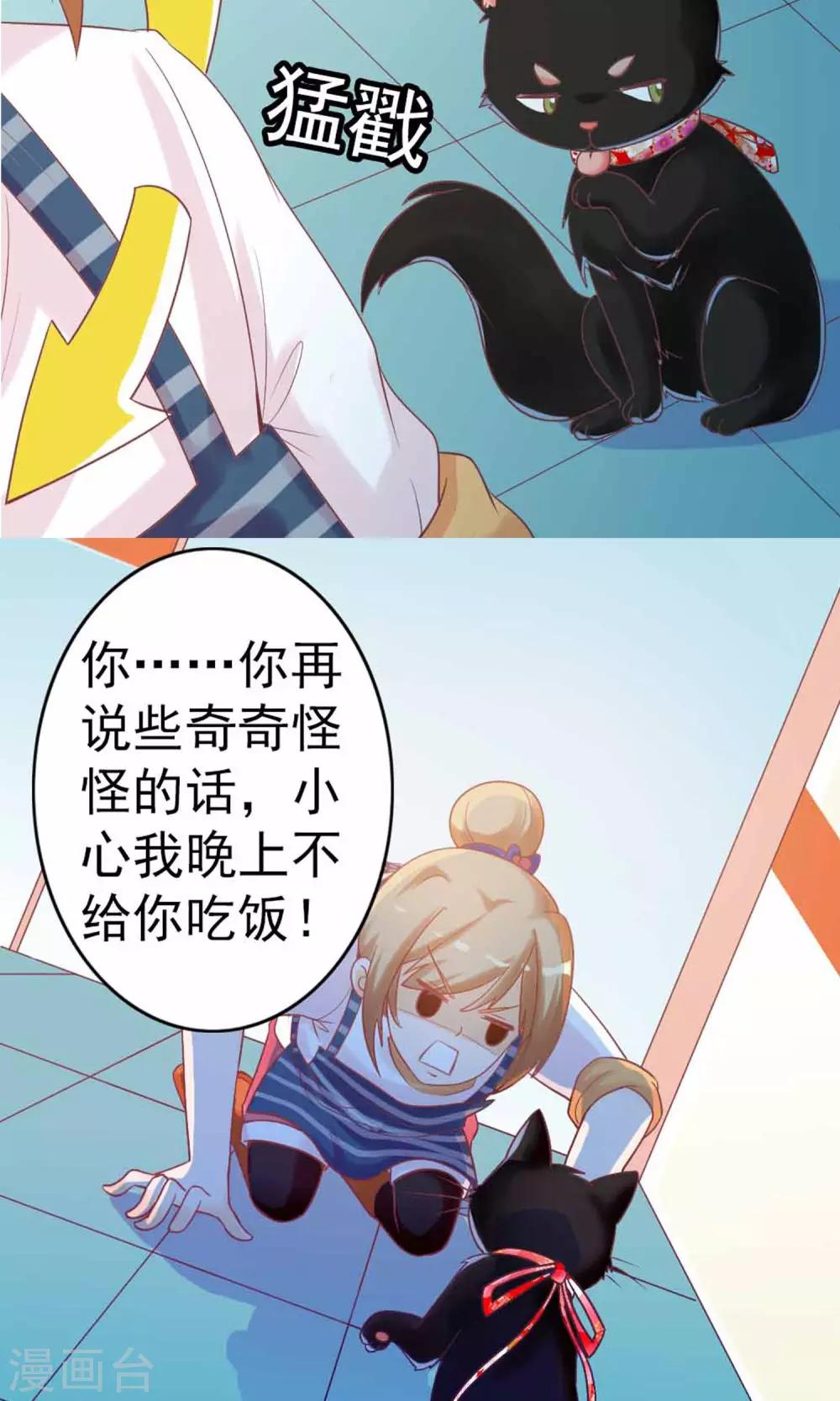 第3话 猫不理的小鱼干35