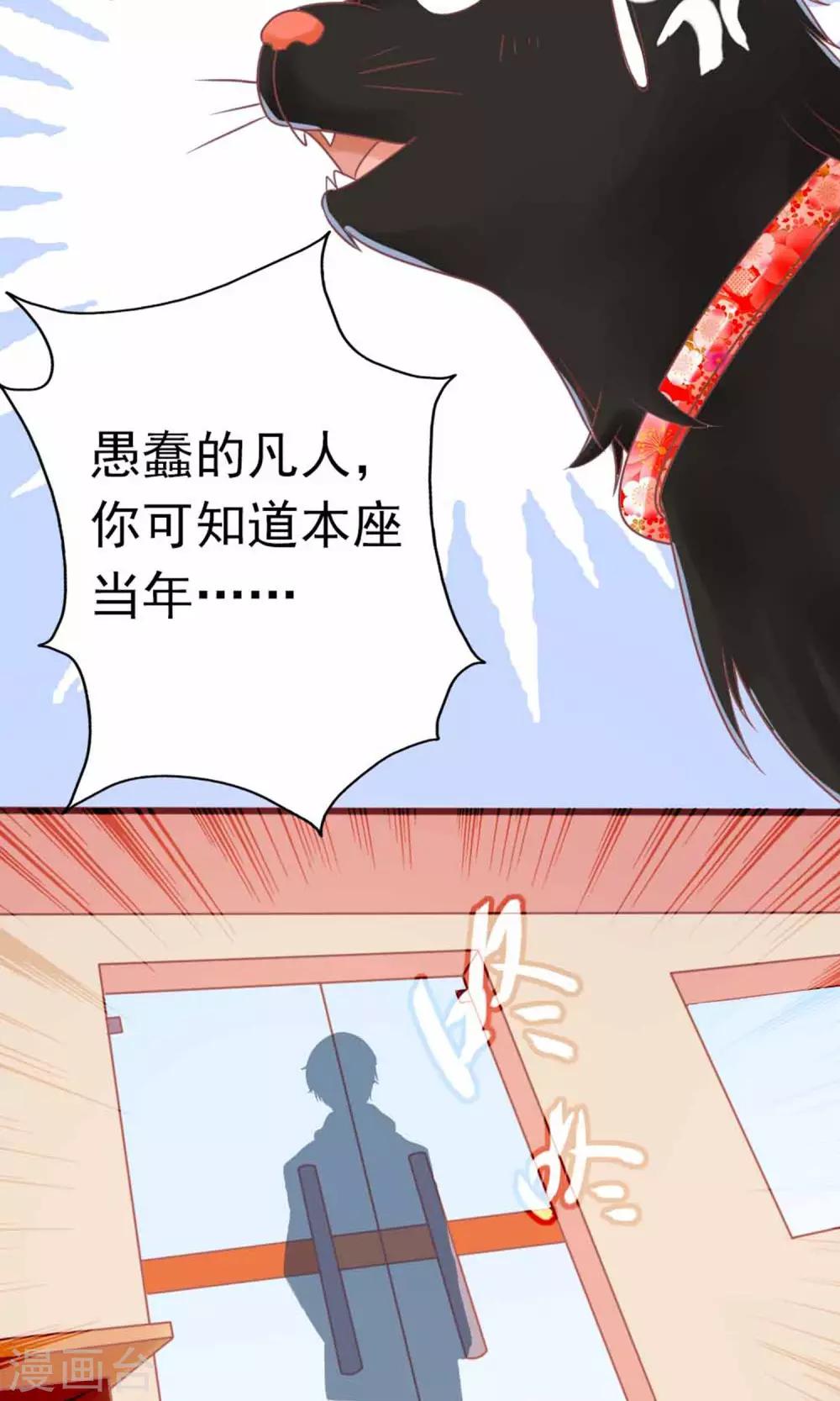 第3话 猫不理的小鱼干12
