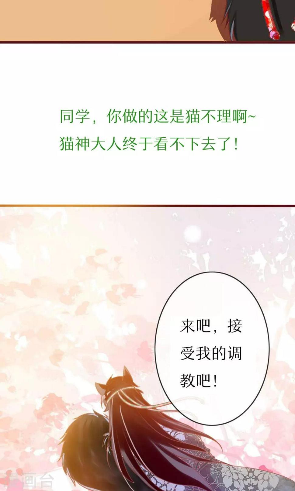 预告6