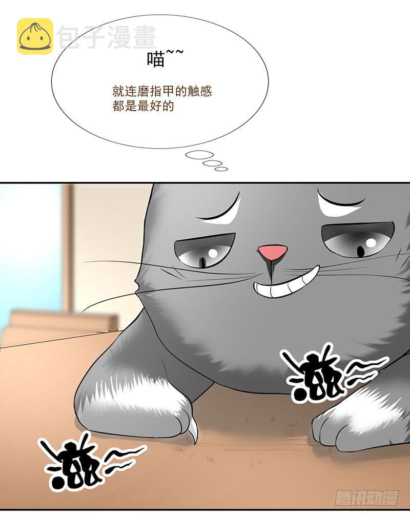 第13话 什嘛！卖店！！2