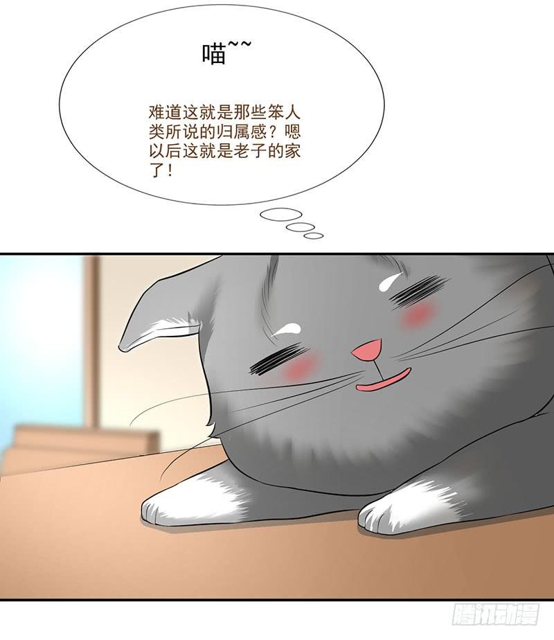 第13话 什嘛！卖店！！3